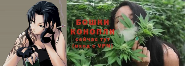 герыч Мегион