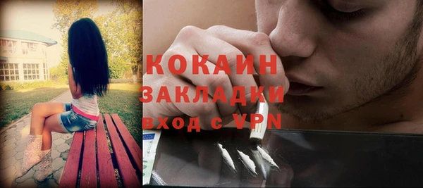 PSILOCYBIN Инсар