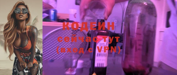 гашик Каменка