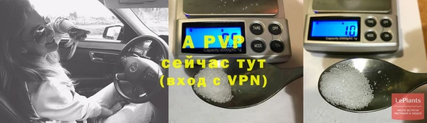 PSILOCYBIN Инсар