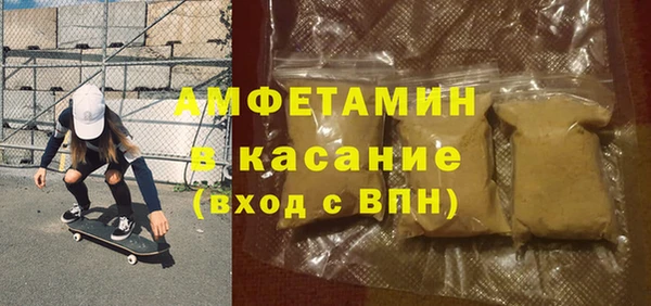 гашик Каменка