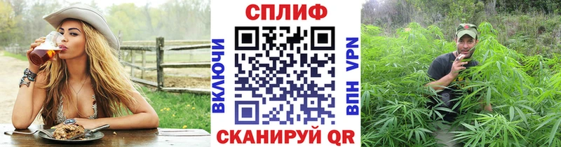 маркетплейс наркотические препараты  Канск  Каннабис тримм  omg вход 