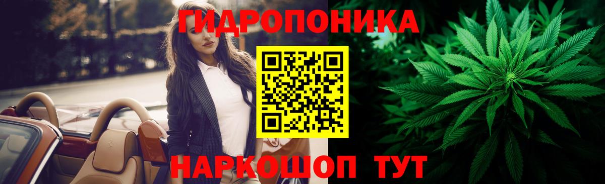 Каннабис индика Канск